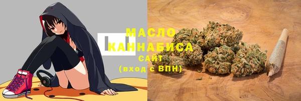 индика Баксан