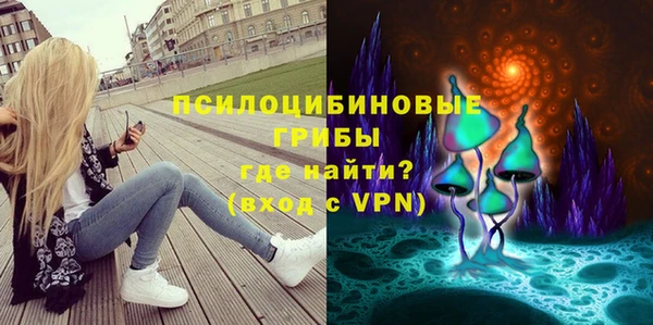 индика Баксан