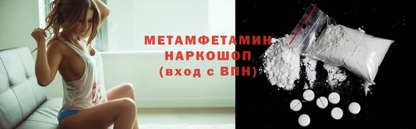 индика Арсеньев
