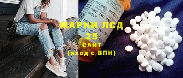 индика Баксан