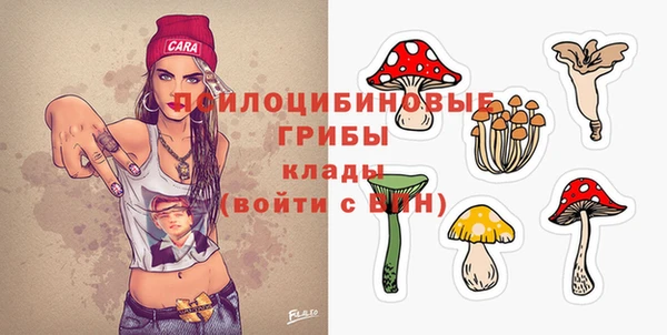 индика Баксан