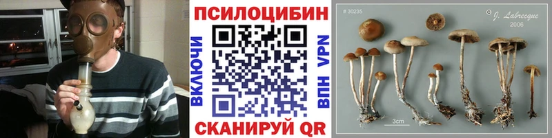 Купить где  Нея  Галлюциногенные грибы мицелий 